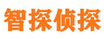 武安市侦探调查公司